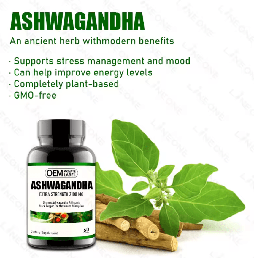 Ashwagandha – miniatyr 2